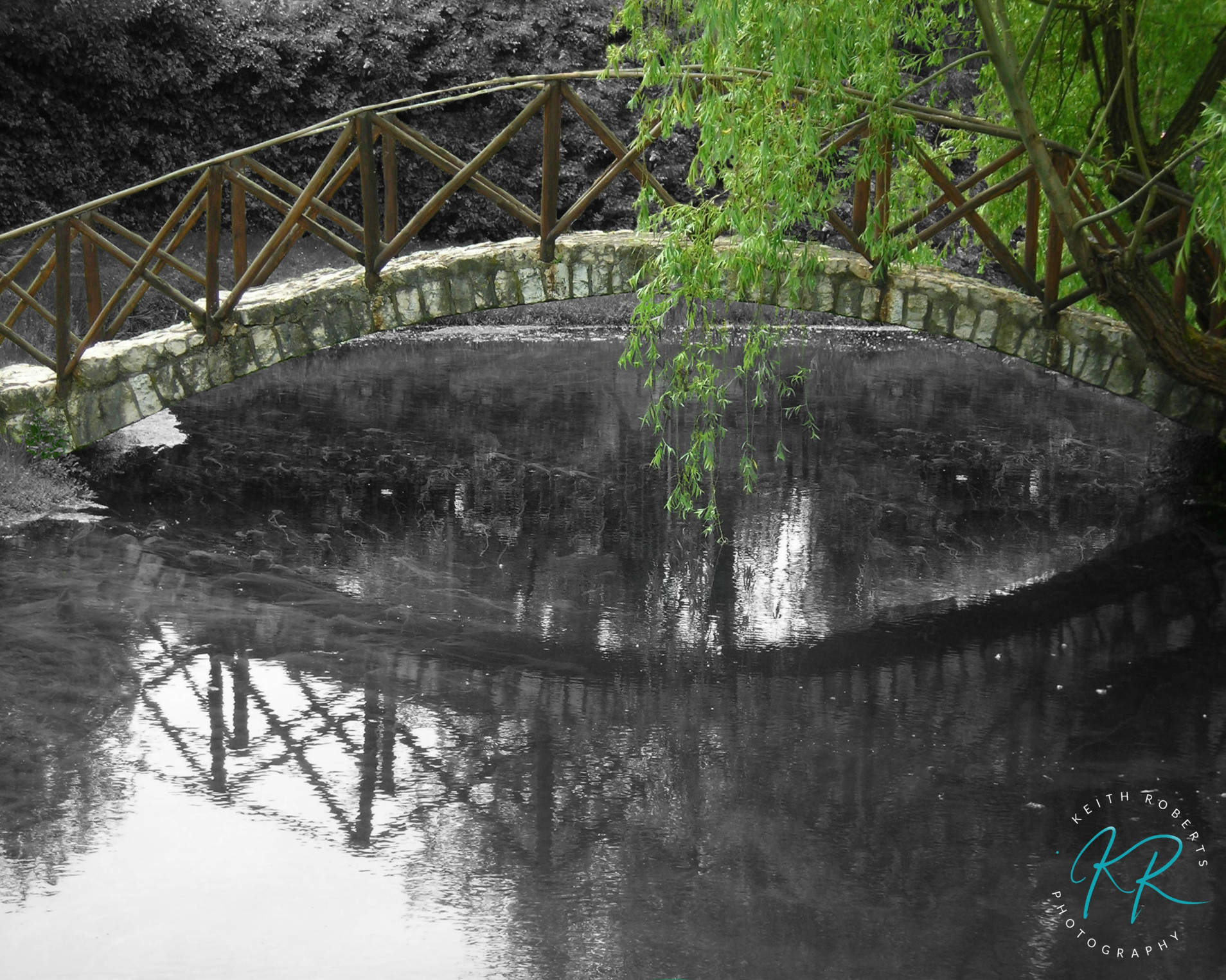 Through the Willows